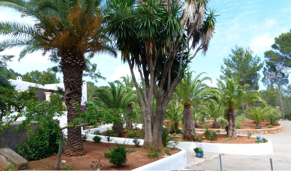 Hacienda Encanto Del Rio Playa DPlaya Des Figueral Exteriör bild