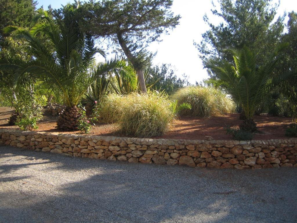 Hacienda Encanto Del Rio Playa DPlaya Des Figueral Exteriör bild